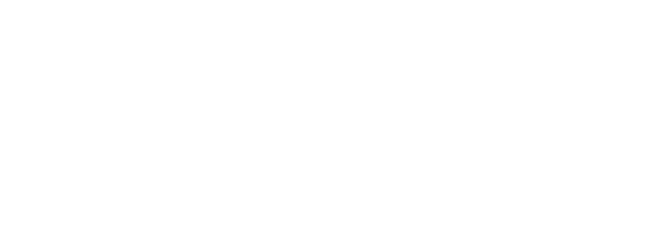 ORLEN Ochrona