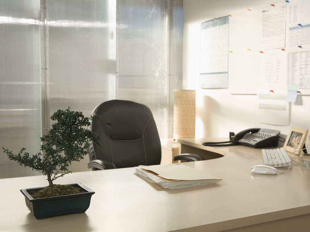 Office interior